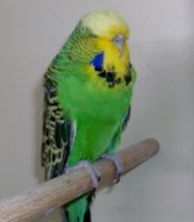 2014 009.JPG